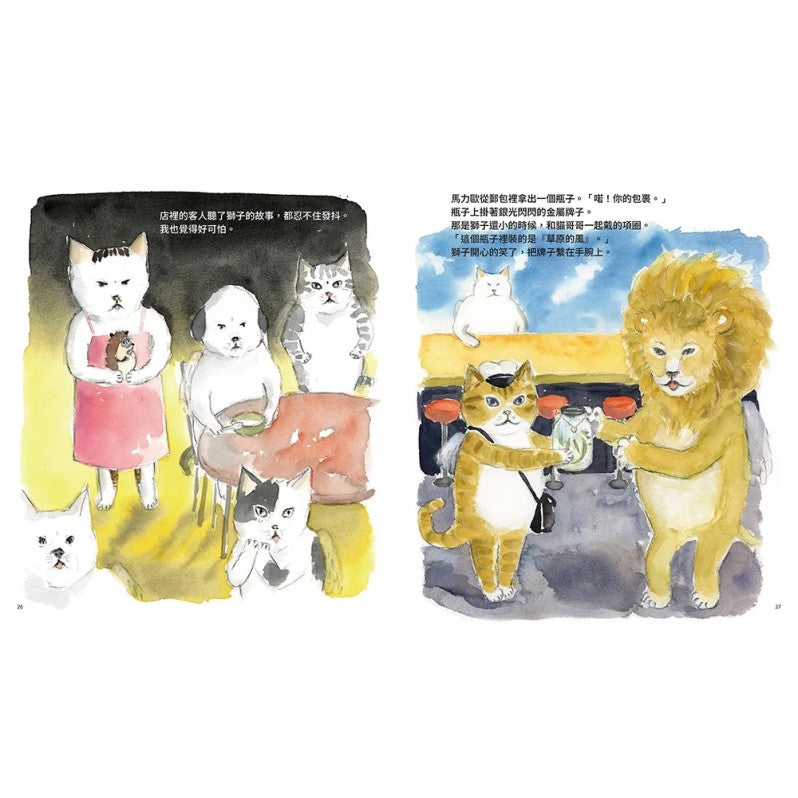 天上的貓：天空郵差兒童繪本內容