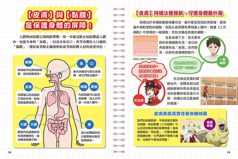 工作細胞圖鑑：病毒與細菌大軍壓境