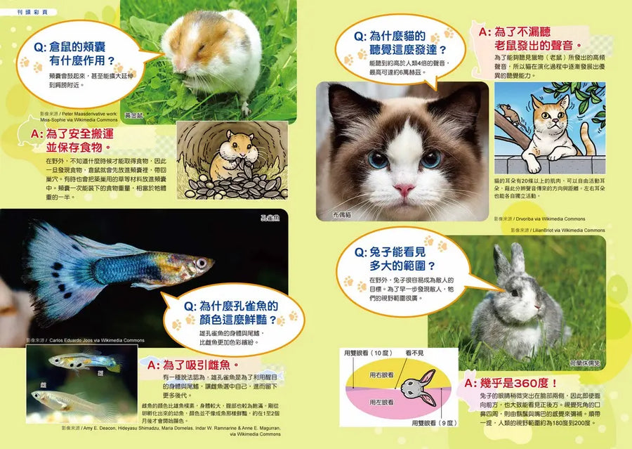 哆啦A夢天才小達人4：寵物照顧一起學