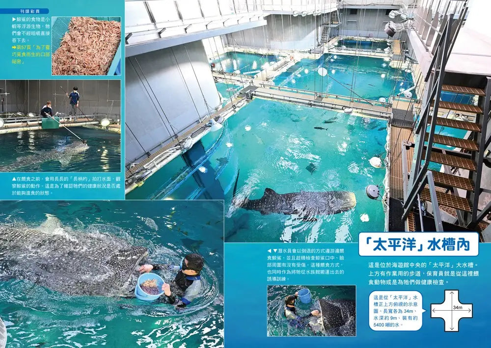 哆啦A夢知識大探索16：水族館祕密隧道