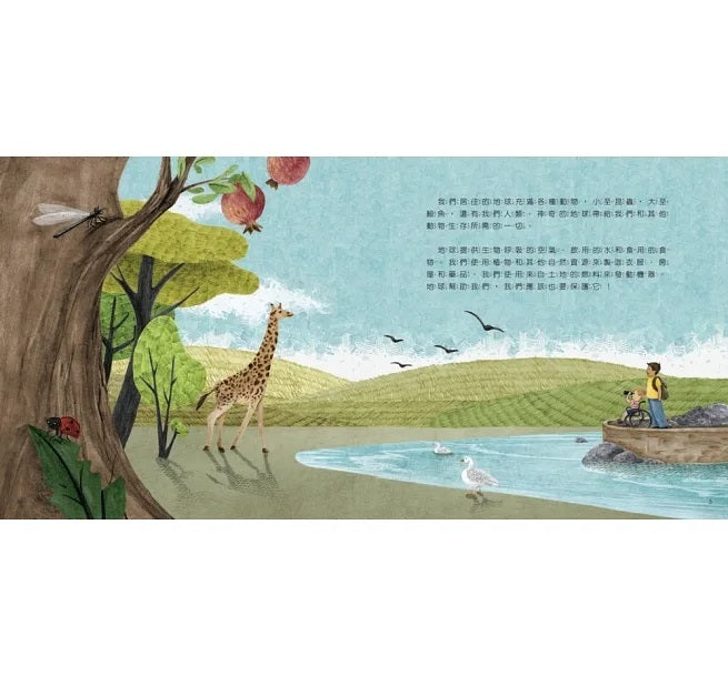 世界中的孩子系列5-8(共四冊)：一起認識影響全球的關鍵議題──權利與平等、規則和責任、文化多樣性、地球與永續兒童繪本內容