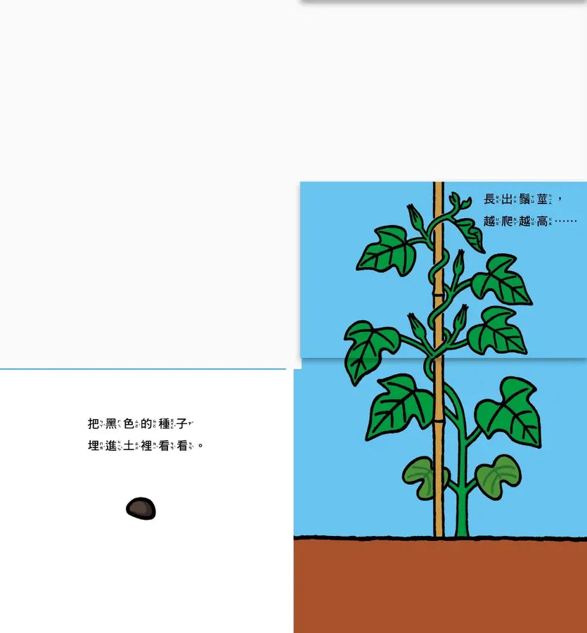 花開了！(SDG 4 優質教育 訓練手眼協調的翻翻遊戲書)