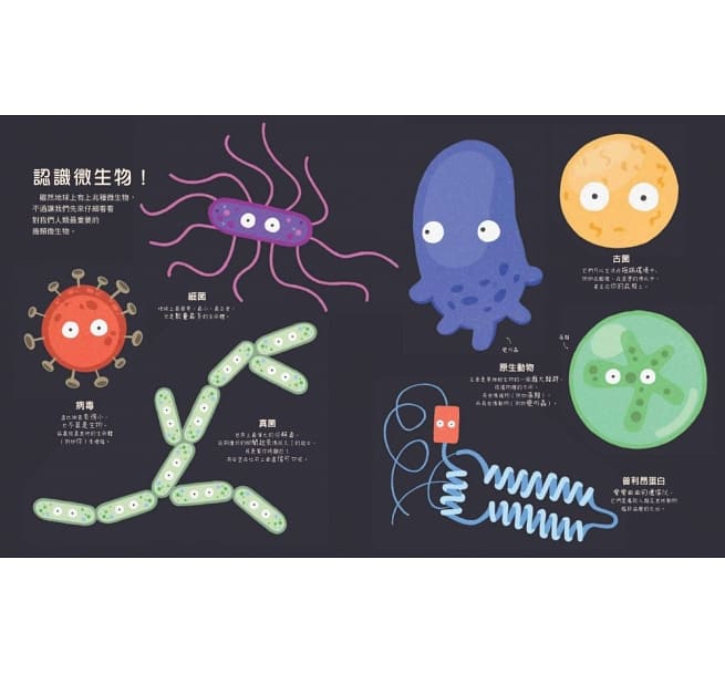 我，微生物&我兒童繪本內容