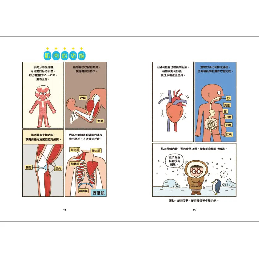 小醫師復仇者聯盟19：肌肉疾病，鍛鍊心志的韌性!