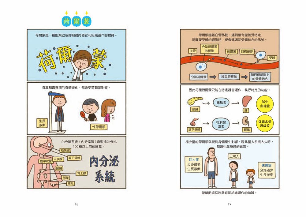 小醫師復仇者聯盟13：內分泌疾病，解開荷爾蒙之謎！