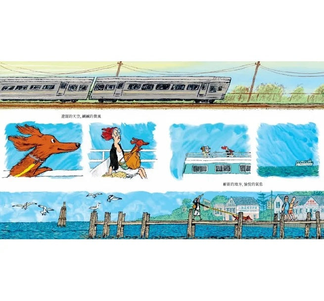 熱狗(凱迪克金牌獎)兒童繪本內容