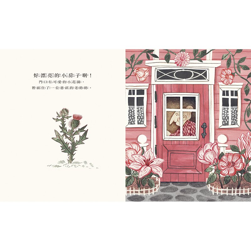 窗裡有什麼?兒童繪本內容