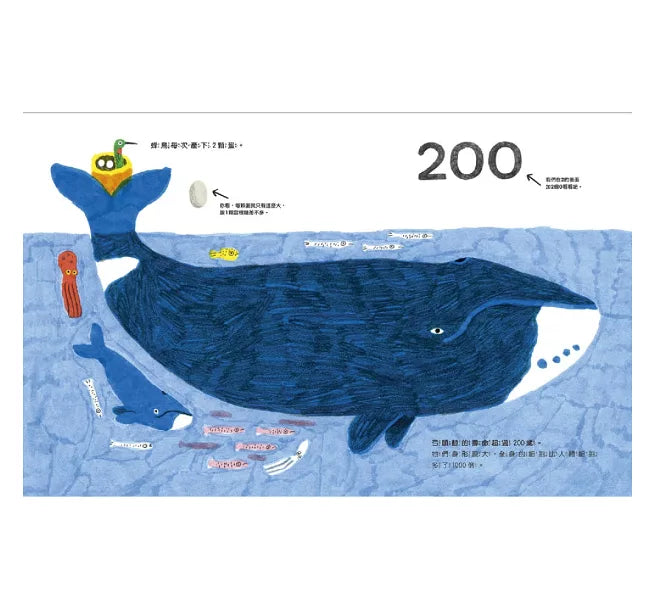 章魚沒有骨頭：0到90億的驚奇之旅兒童繪本內容