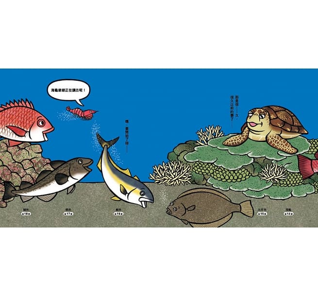 海底在排什麼呢?兒童繪本內容