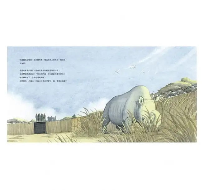 蘇丹的犀角兒童繪本內容