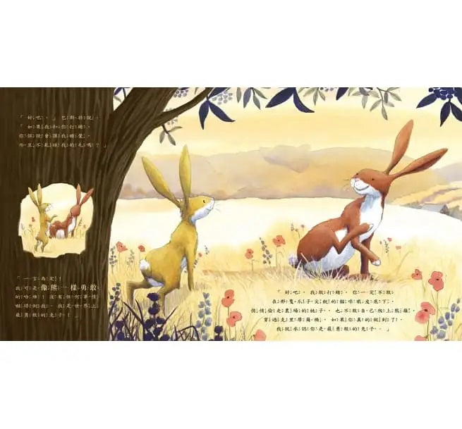 多幸運，有哥哥陪我長大兒童繪本內容