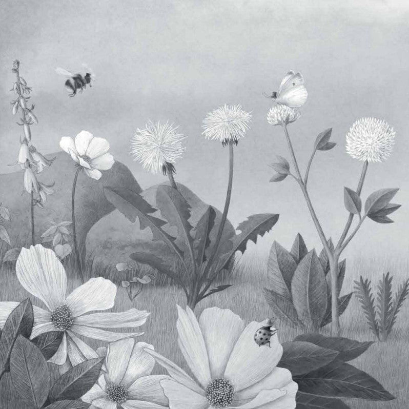 寶從天上來兒童繪本內容