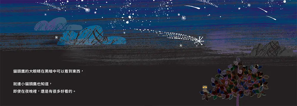 哇!是夜晚呢!繪本內容