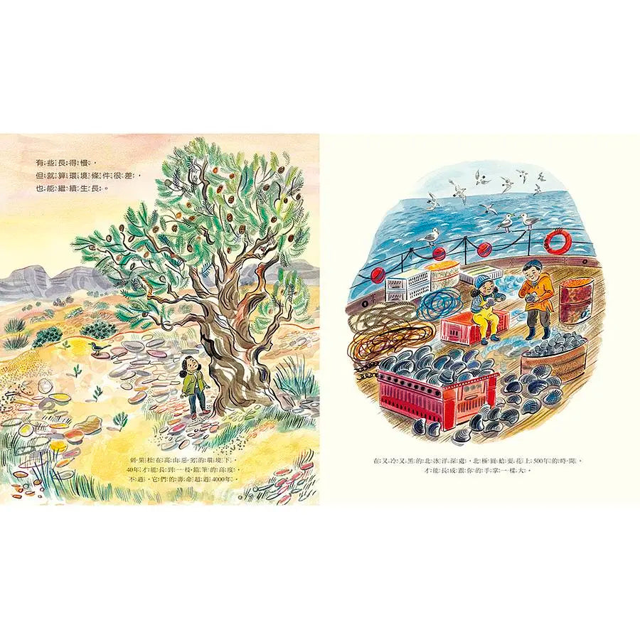 DNA：基因和遺傳的祕密繪本內容