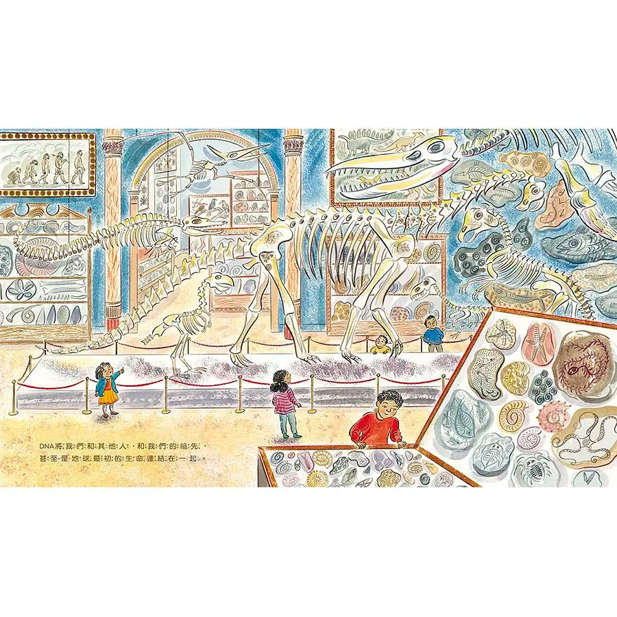 DNA：基因和遺傳的祕密繪本內容
