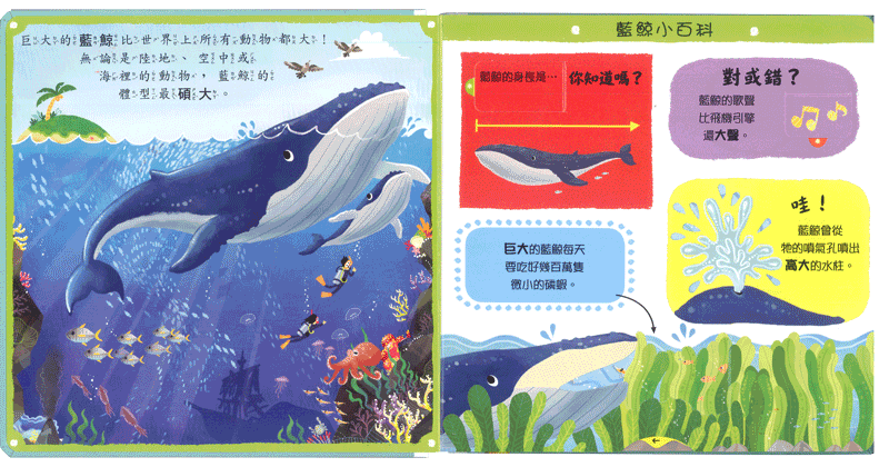 奇妙的動物兒童繪本內容