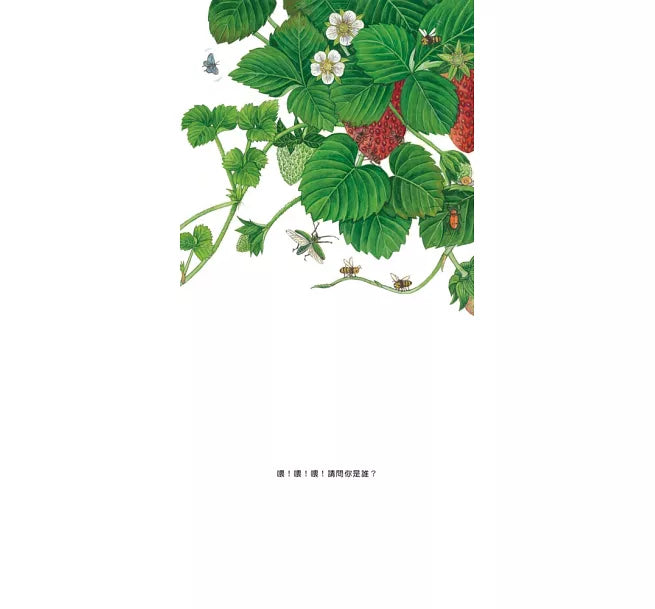 我的水果寶寶(二版)兒童繪本內容