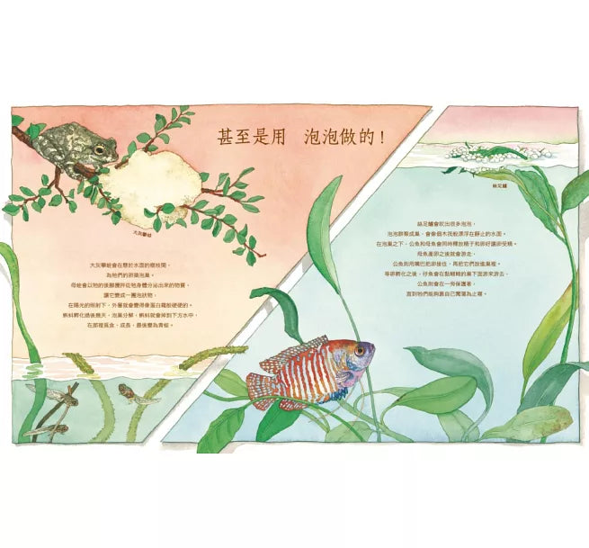 鬧哄哄的巢兒童繪本內容