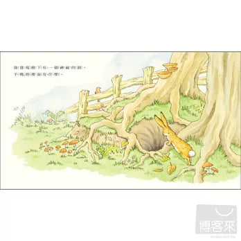 猜猜我有多愛你：最喜歡的地方