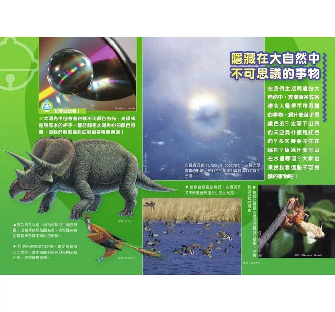 哆啦A夢科學任意門10：科學記憶吐司兒童繪本內容