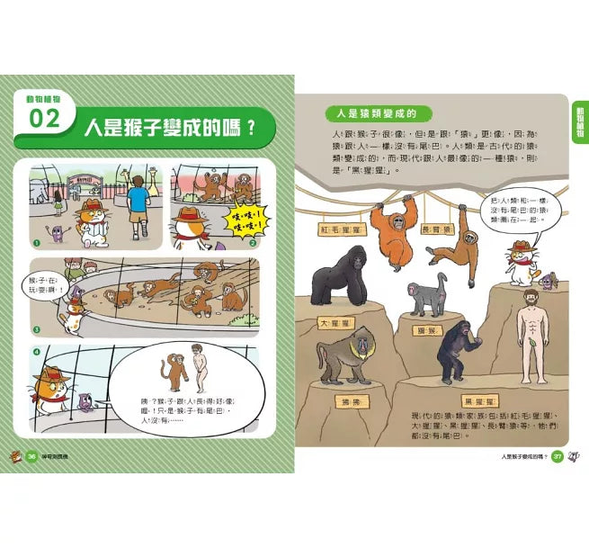 妙妙喵圖解生活科學3：神奇測謊機──跟著妙妙喵和跳跳蟲用圖像思考，破解生活大小問!兒童繪本內容