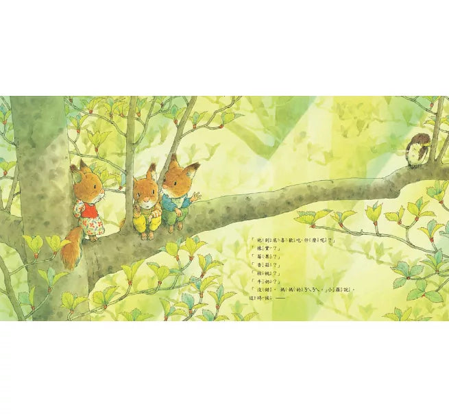 森林裡的小松鼠：森林裡的鳥寶寶兒童繪本內容