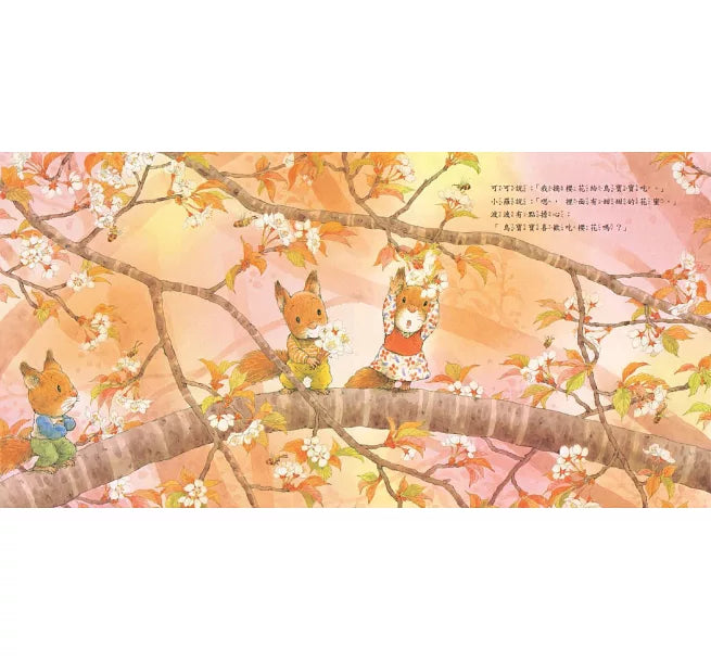 森林裡的小松鼠：森林裡的鳥寶寶兒童繪本內容
