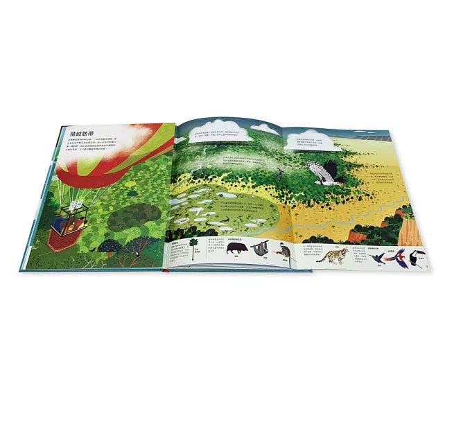 鳥瞰大自然兒童繪本內容