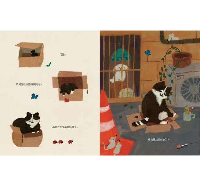 喵咪找新家!兒童繪本內容