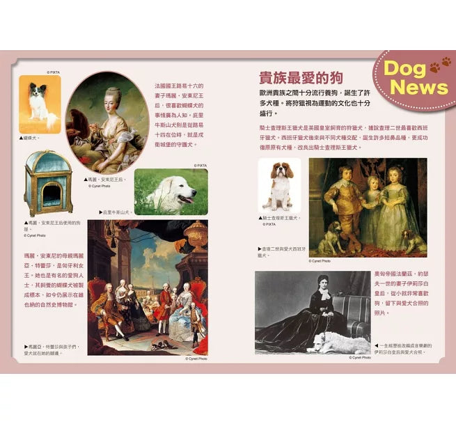 哆啦A夢知識大探索9：汪星人呼喚項圈兒童繪本內容