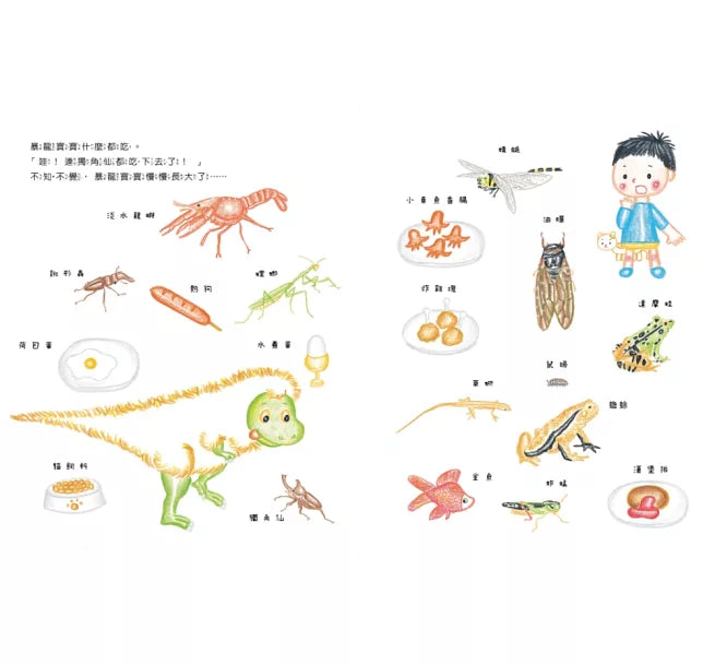 我養了一隻暴龍!兒童繪本內容