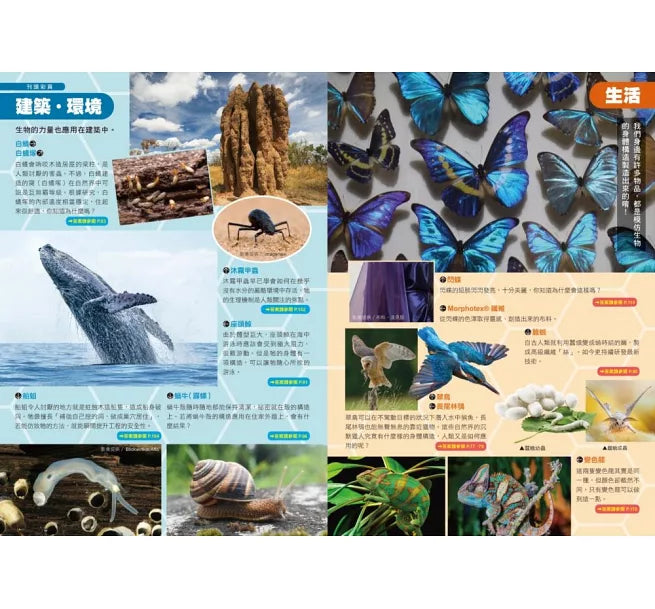 哆啦A夢科學任意門23：生物超能模擬器兒童繪本內容