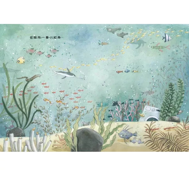 【品格教育繪本：拒絕霸凌/尊重自愛】原來這樣就是霸凌!兒童繪本內容