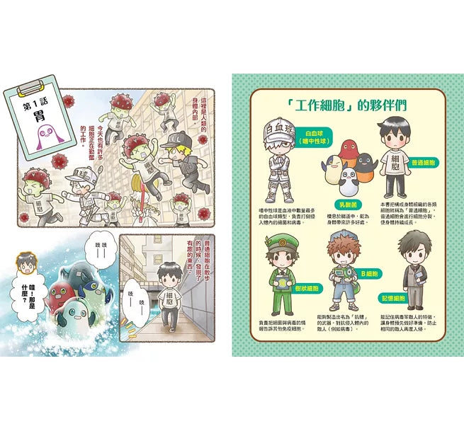 繪本工作細胞6天降奇兵!乳酸菌與害菌大亂鬥兒童繪本內容