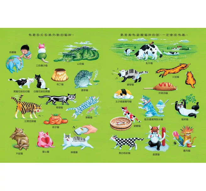 我的貓咪奇想兒童繪本內容