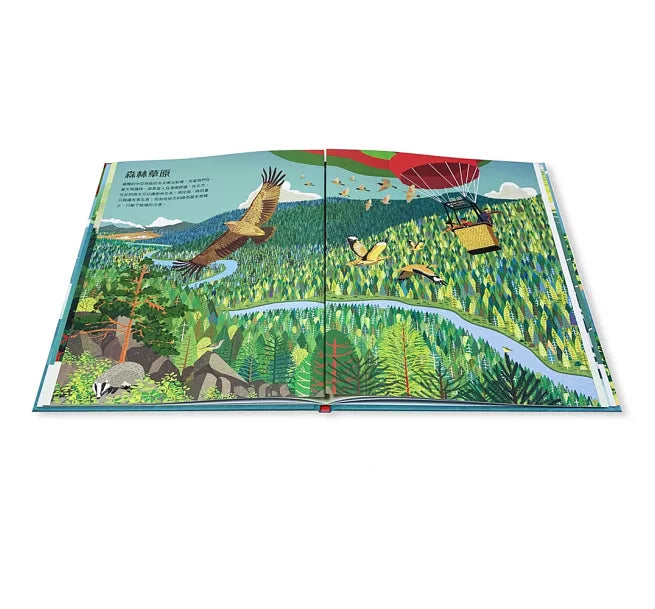 鳥瞰大自然兒童繪本內容