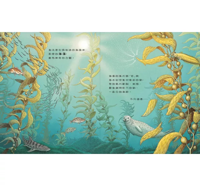 地球不碳氣：氣候變遷、減碳和我們的未來兒童繪本內容