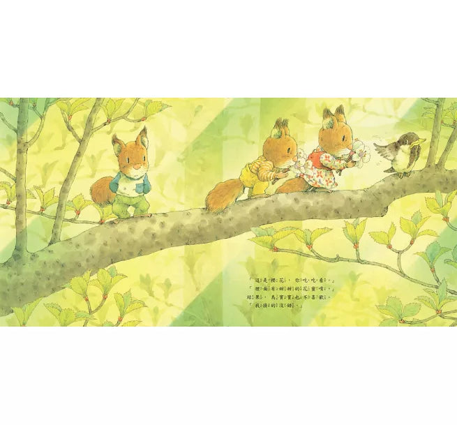 森林裡的小松鼠：森林裡的鳥寶寶兒童繪本內容