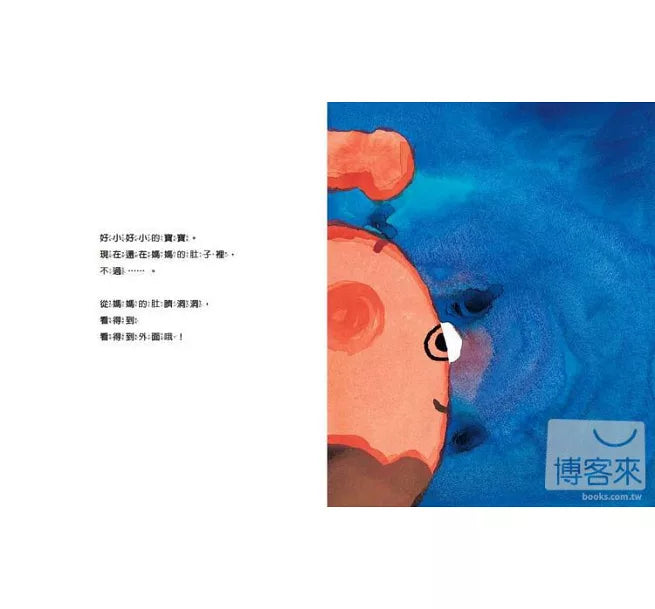 肚臍的洞洞兒童繪本內容