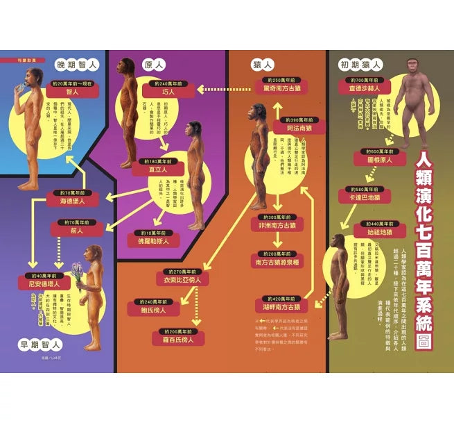 哆啦A夢科學任意門19：人類演化追蹤槍兒童繪本內容