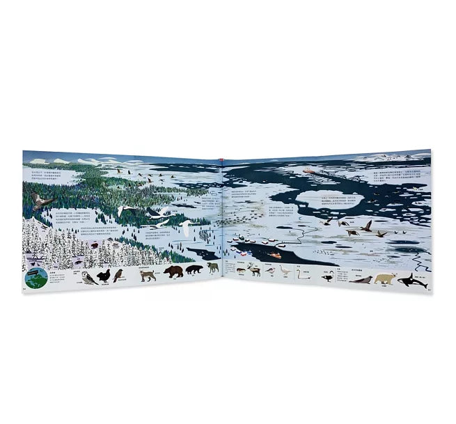 鳥瞰大自然兒童繪本內容