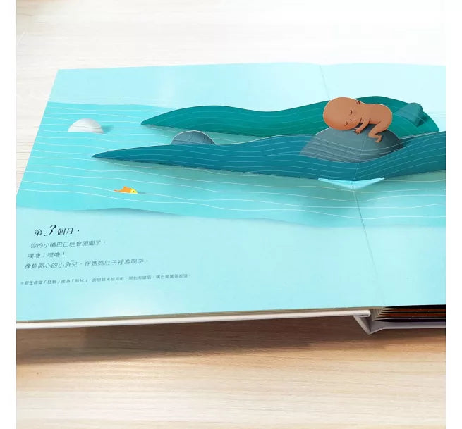 你在媽媽肚子裡的樣子 [精美書盒典藏版]兒童繪本內容