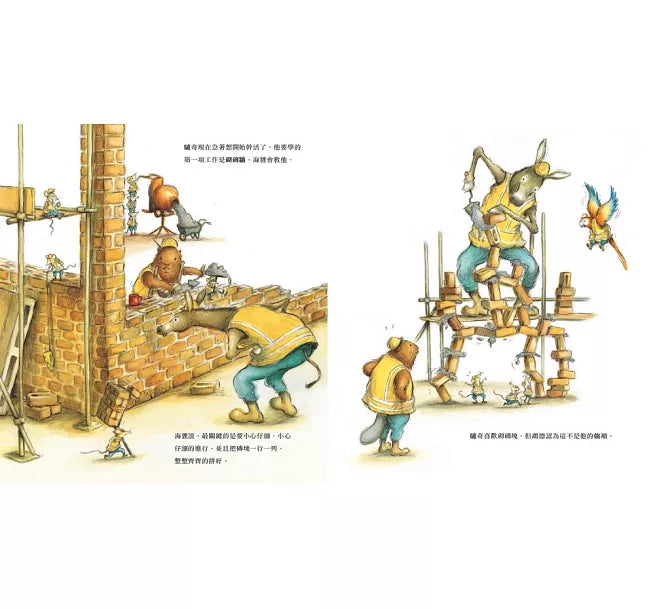 跟著動物建築師過一天(二版)兒童繪本內容