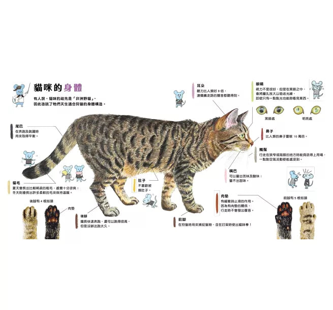 大人小孩都愛!：生活圖鑑繪本集兒童繪本內容