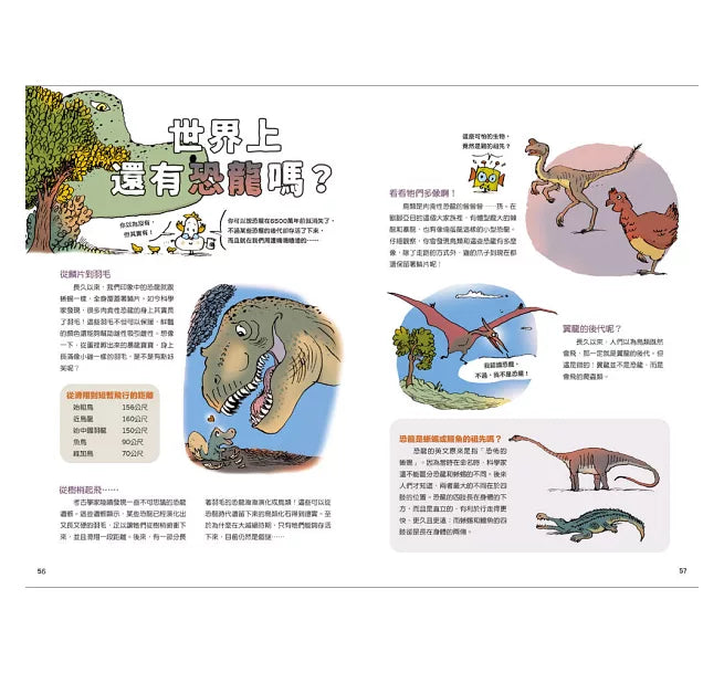 探索科學的孩子兒童繪本內容