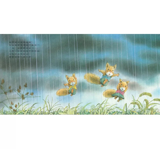 森林裡的小松鼠：西北雨來了兒童繪本內容