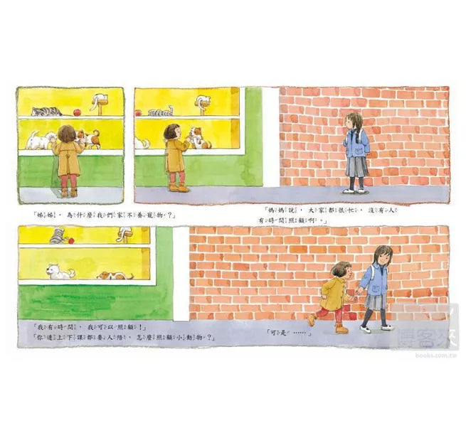 小薏養了一隻小烏龜兒童繪本內容