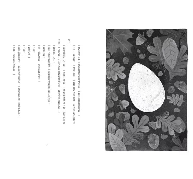 荒野機器人(夢工廠動畫電影書衣版)兒童繪本內容