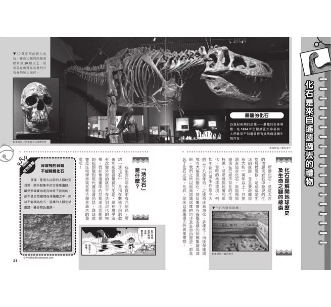 哆啦A夢科學任意門15：神祕化石時光布兒童繪本內容