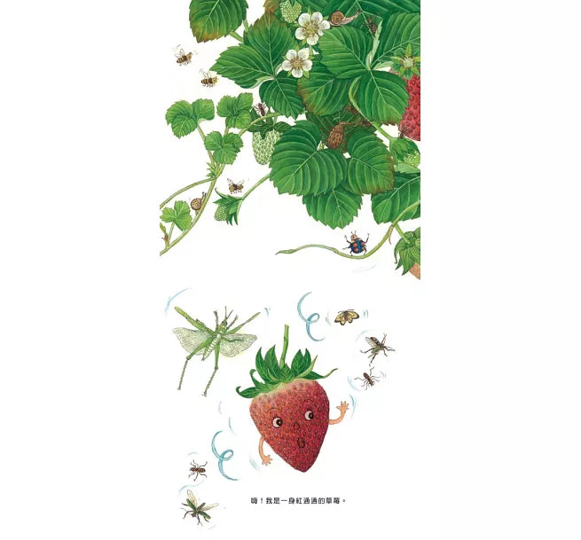 我的水果寶寶(二版)兒童繪本內容